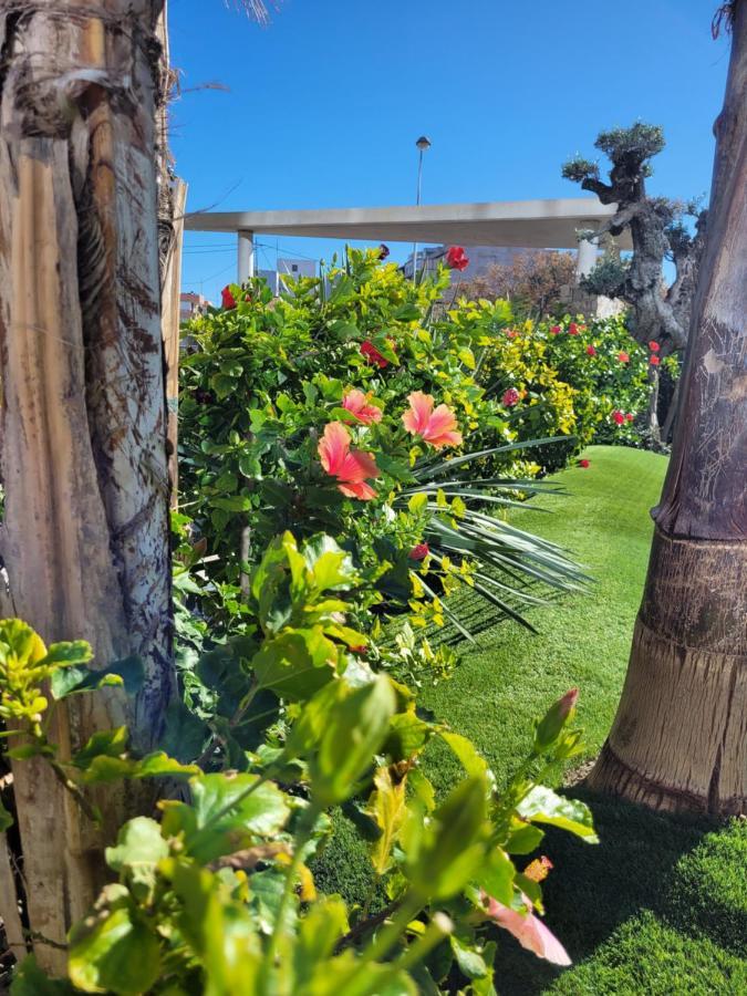 Apartement Verano El Campello - 2 Bedrooms - Piscina - Garaje Dış mekan fotoğraf